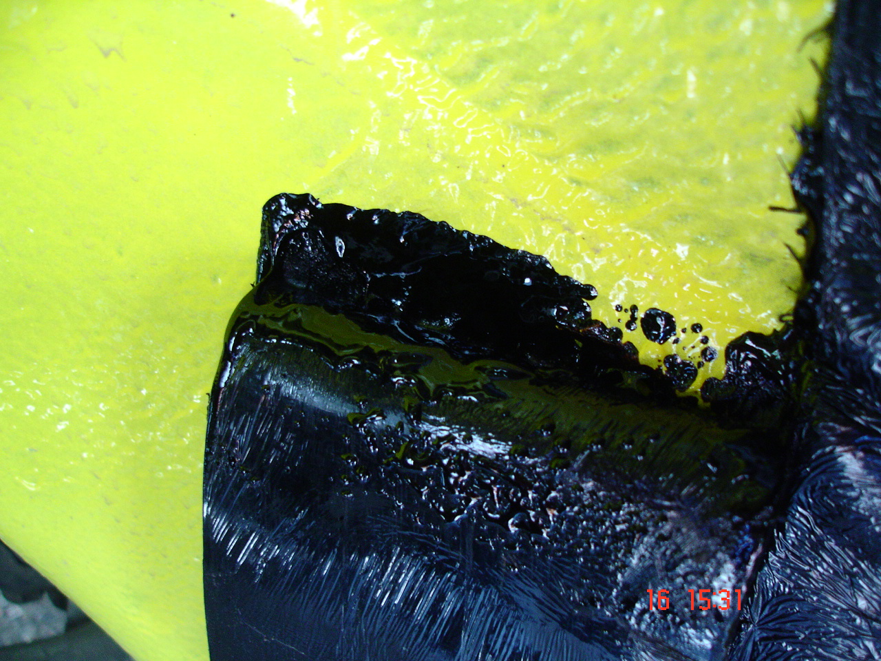 gallery_127_10_216441.jpg