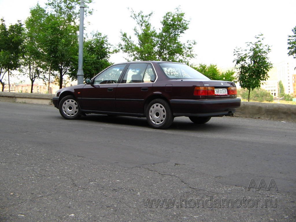 gallery_2760_26_56109.jpg