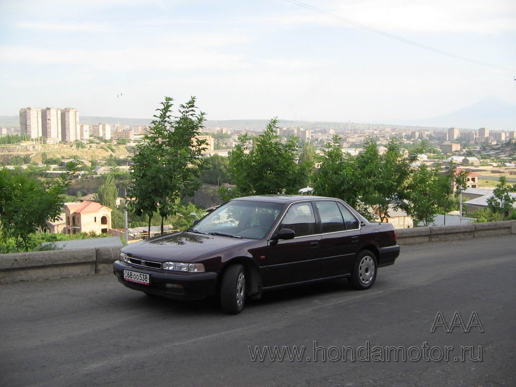 gallery_2760_26_67266.jpg