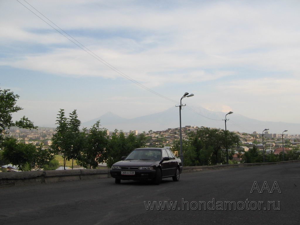 gallery_2760_26_82699.jpg