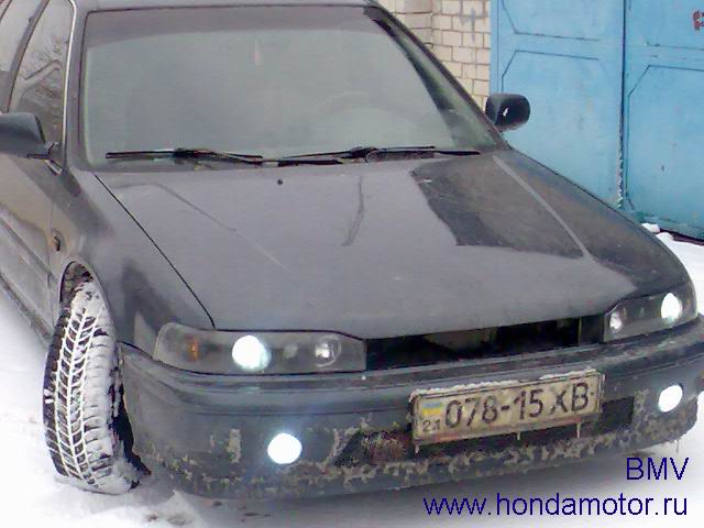 gallery_2760_26_5124.jpg