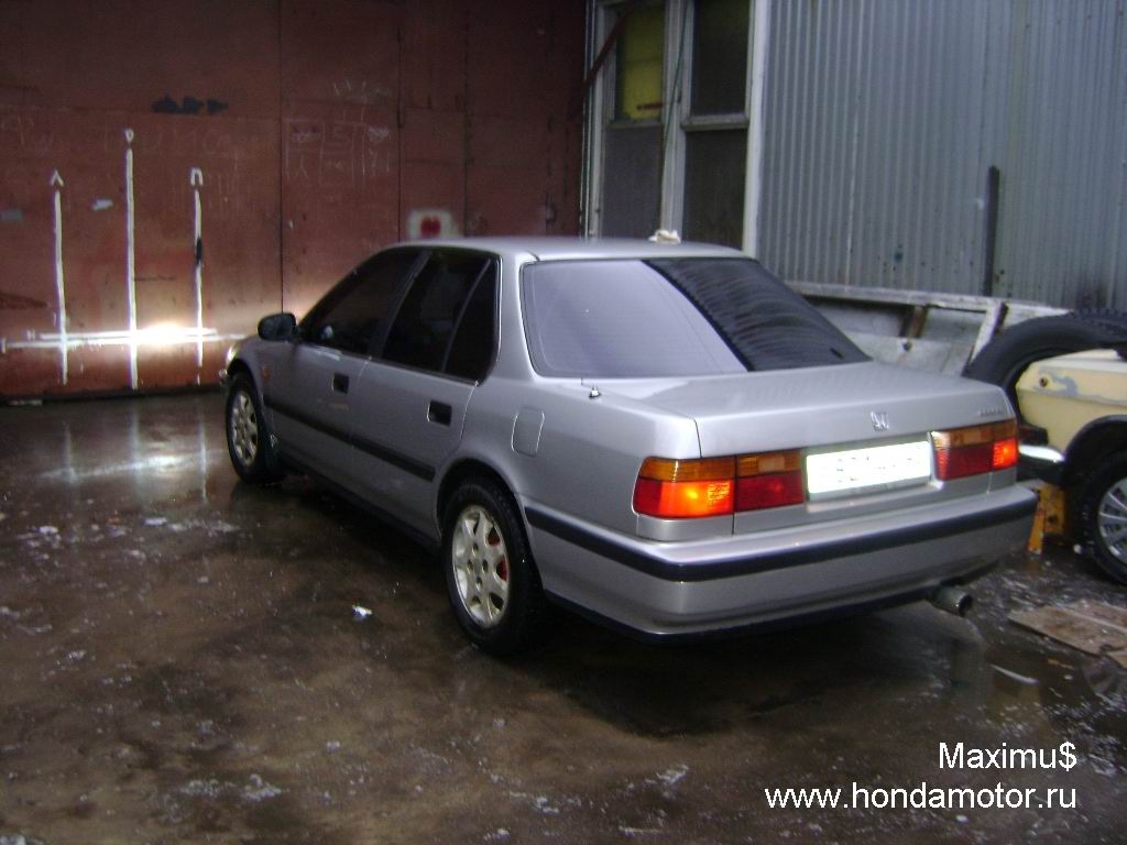 gallery_2760_26_90681.jpg