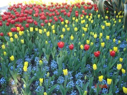 gallery_127_22_22055.jpg