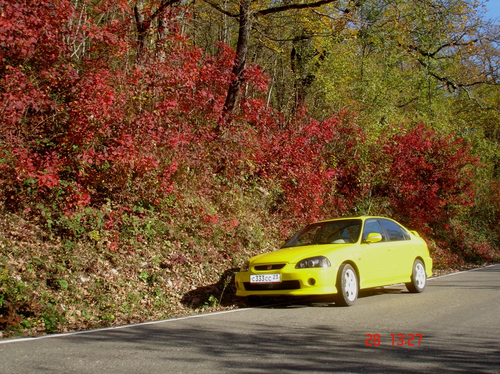 gallery_127_19_311951.jpg