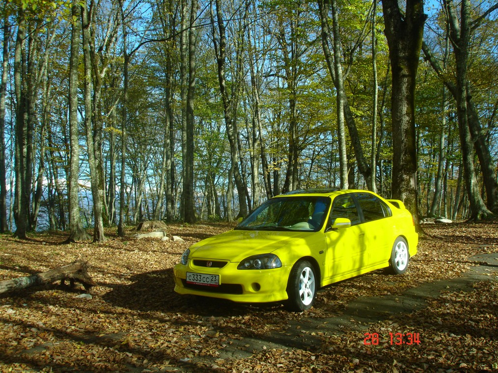 gallery_127_19_72543.jpg
