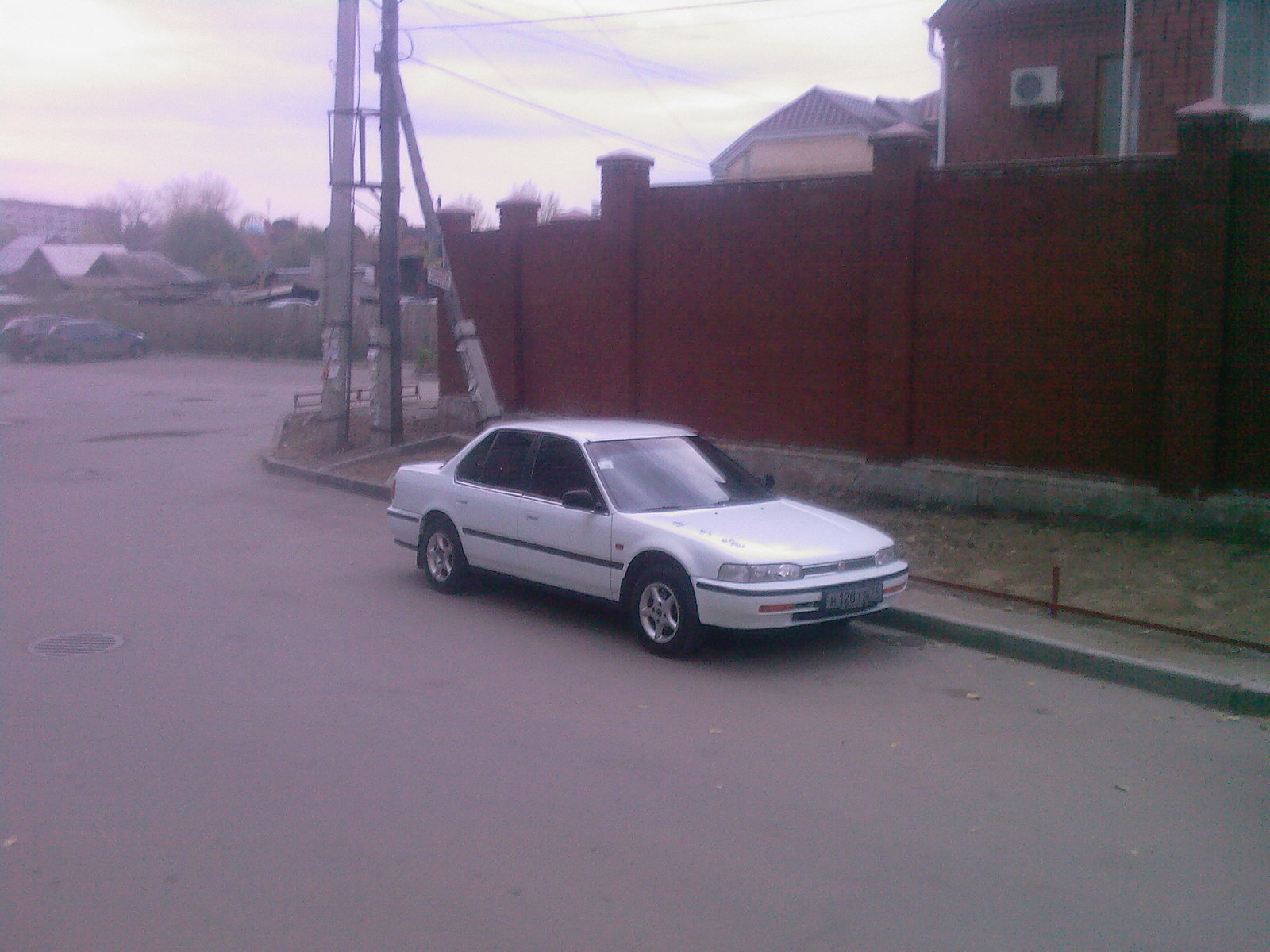 gallery_19643_193_384422.jpg