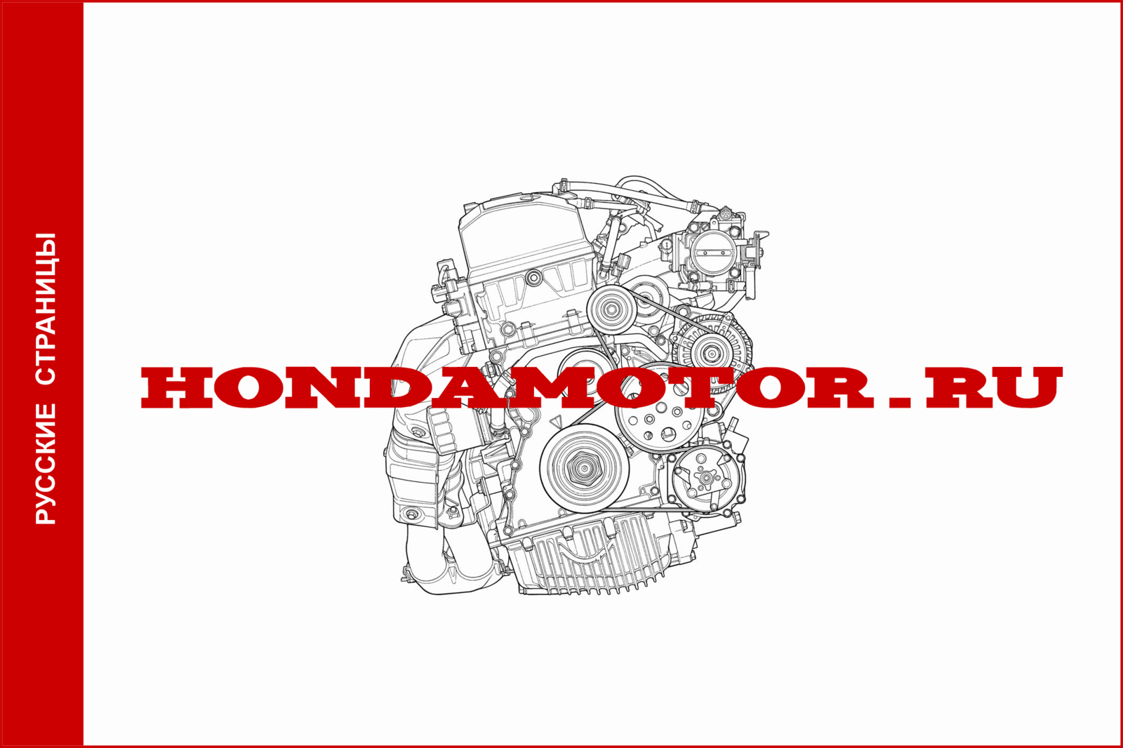 gallery_127_158_829564.png