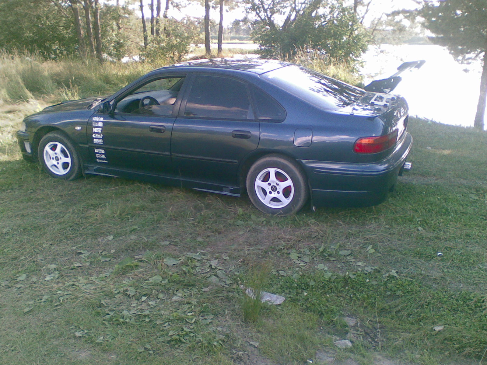 gallery_29951_342_61060.jpg