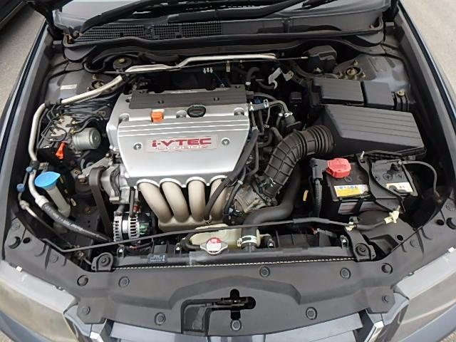gallery_2760_440_16162.jpg