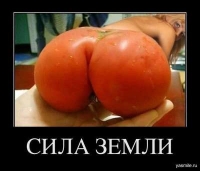 ������������� �����������