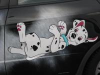 ������������� �����������