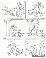 ������������� �����������