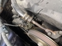 ������������� �����������