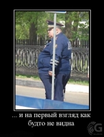 ������������� �����������
