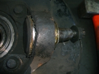 ������������� �����������